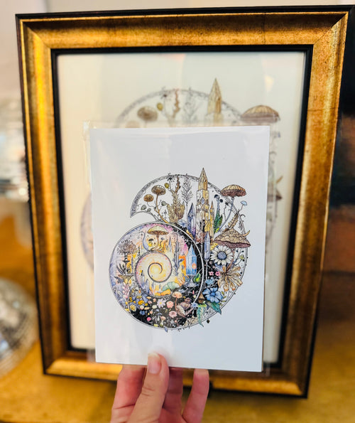 Ammonite Fine Art Print – 5x7 Ancient Fossil Crystal Spiral