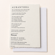 Auranthra Monarch Butterfly Mantis Greeting Card – 5x7