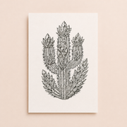 Crystal Cactus Art Print – Mystical Desert Crystal Art with Poetry